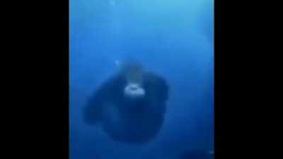 Esse vídeo me faz ter esperanças na humanidade.