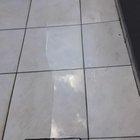 Marley! Calçada limpa por 2 segundos!