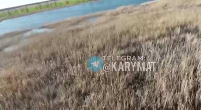 The fisherman hits Russian drone with... a fish