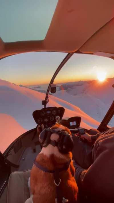 The Best Co Pilot Anyone Could Ask For