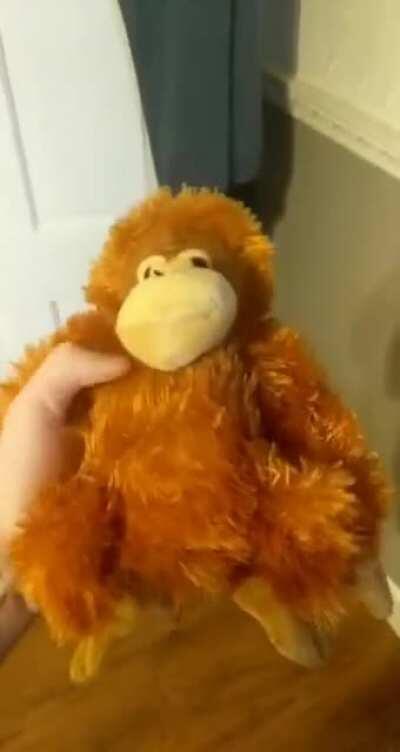 I made le monke into a working talking toy