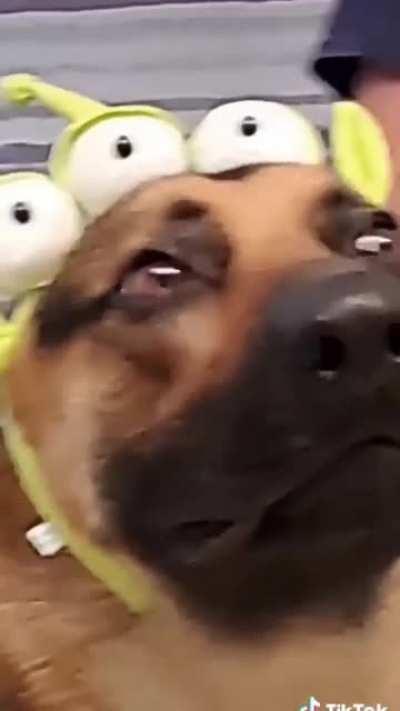 Human, are you sure about this?