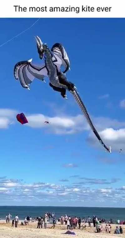 A kite that looks like dragon
