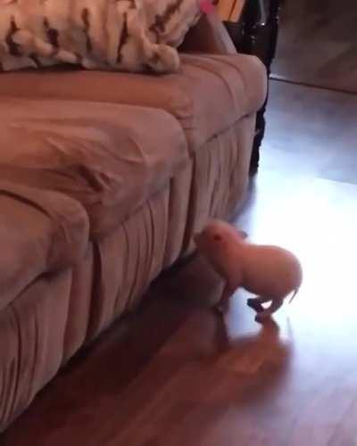 So close... Try again!