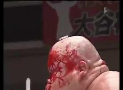 CPU Makes A Great WWE Weapon