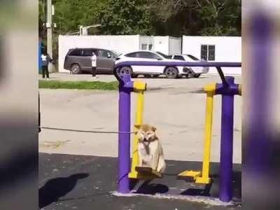 You are everything to me!