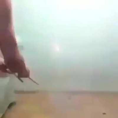 melhor forma de comemorar o ano novo chinês