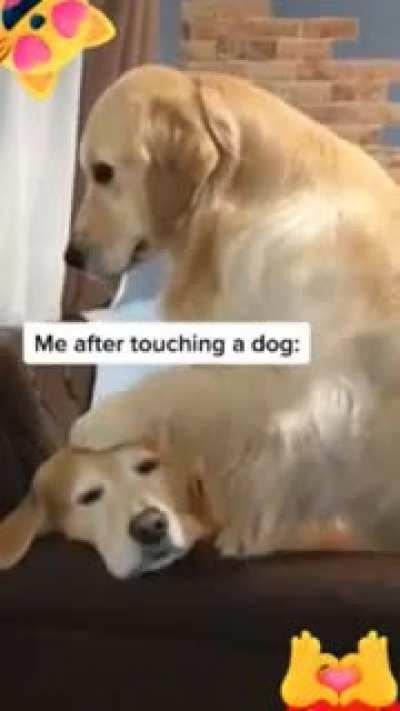 They are woof inside