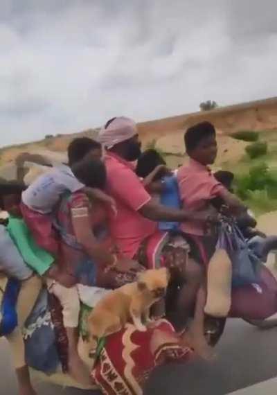 👶👦👧🧒👨 🐶🐔 