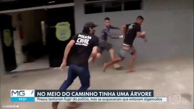 criminal minds brazil