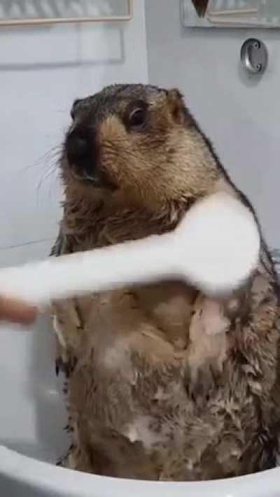 Cutest thing I've seen