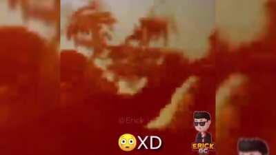 godzilla vs kong video filtrado