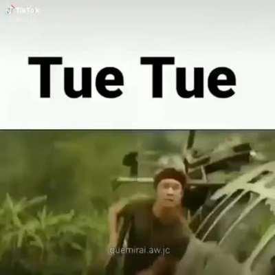 Tue tue