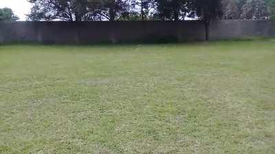 PARÁ BOTÓN!!! YO NO TE HICE NADA!!