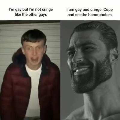 I embrace the cringe unlike you snowflakes