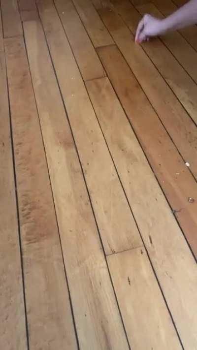 Walnuts remove scratches from wood floors like magic!