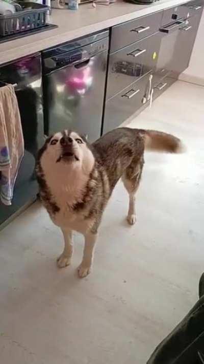 he didn't even let the girl speak 😆😆