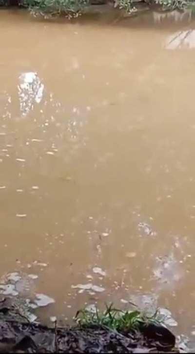 Stay away from bubbles guys. Okay guys?