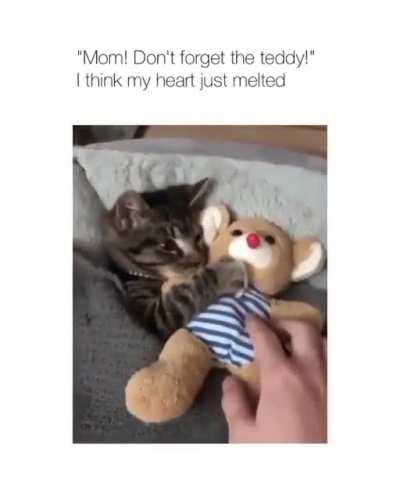 Mom! Don't Forget the Teddy