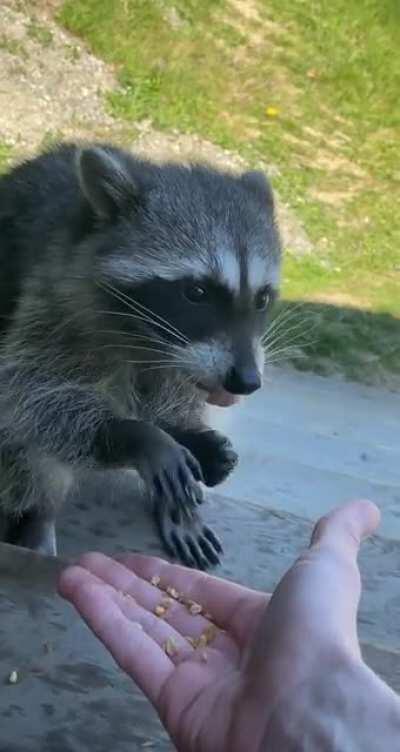 I couldn’t leave my homie Ricky out of the 4/20 celebration! Giving him his fair share of munchies :)