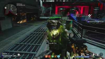 Did you know you can pet the plaguehounds?