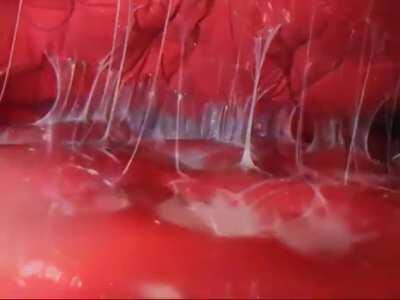 Next time you go camping don't forget to bring the vorebag.