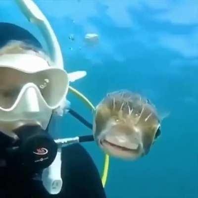 Did the fish take a selfie?