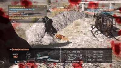 Your daily dose of sweet payback