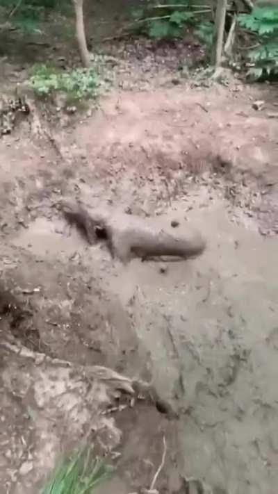 Apparently, someone is sleeping outside tonight.