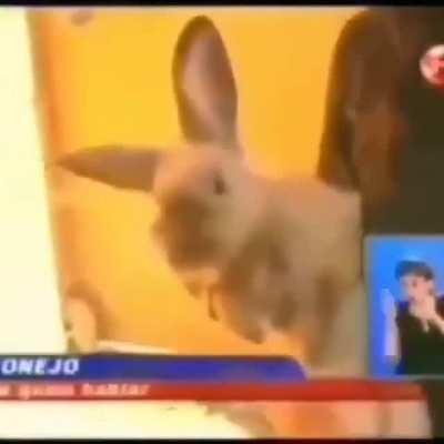 PORFAVOR SAQUENME DE LATINOAMERICA