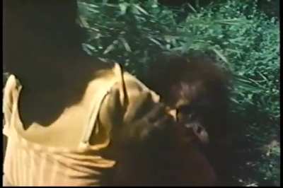 Orangutan sanctuary ver 1.0