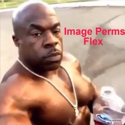 Image perms flex (nice we reached 3,000 users)