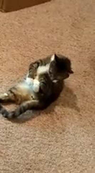 viCioUS dEmoN poSsEsseS hUmAN iN oNE stRiKE