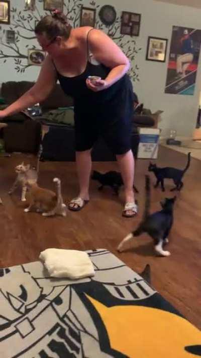 Feeding the horde. And despite what they say they have all eaten recently. They have dry food out all day.