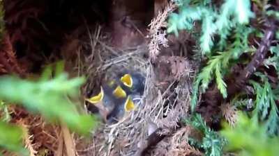 I might have to repost until Blue Ghost sees this. Apologies in advance