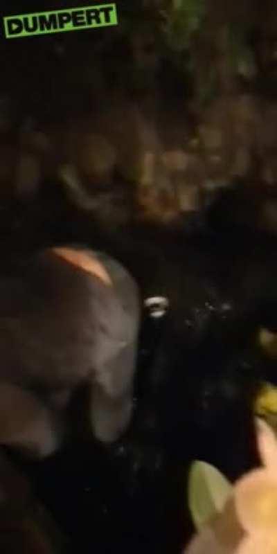 smoking a cigarette near a pond while being intoxicated