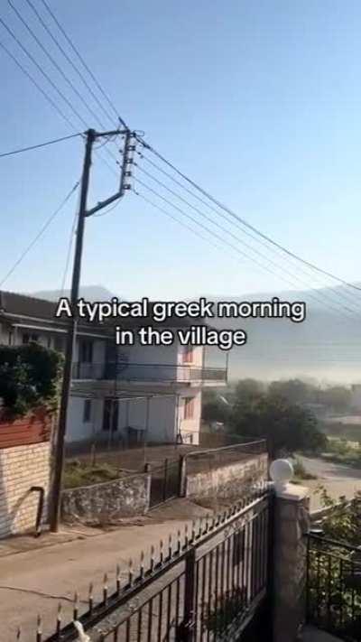 I love it when my Greek daddy screams at me 😏