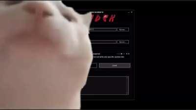 Vibing to the CODEX installer