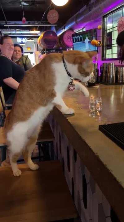 He's had a rough day