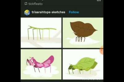 you've been HELLTAKER BUGGED!