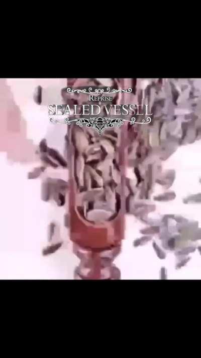 You are the vessel, you are the hollow knight 