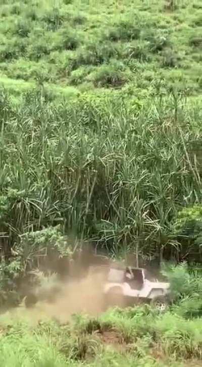 Roll, roll, roll the!