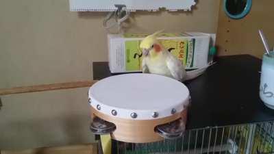 When you REALLY need to use a public bathroom but the person inside is taking forever...