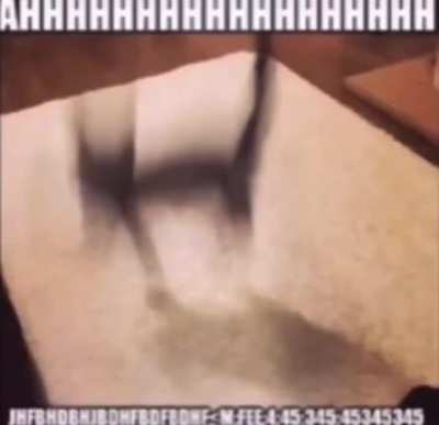 AAHHHHHHHHHHHHHHHHHHH