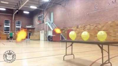 I got to cat sit for Michael Bay... his cat is LIT