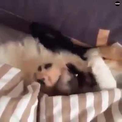 Let me tell you bout my best friend