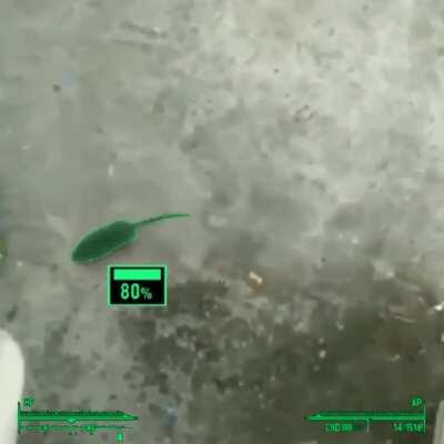 VARTS (Vault-tec assited rat targeting system)