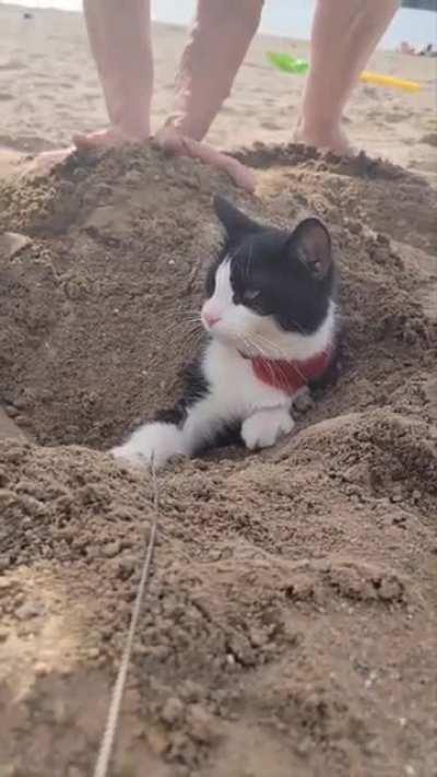 sIcK FuCk bUrIeS HiS CaT aLiVe