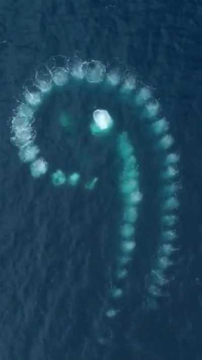 The sound is outer worldly