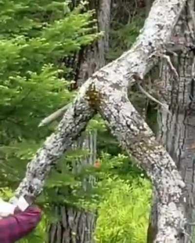 Weird Russian girl on tinder